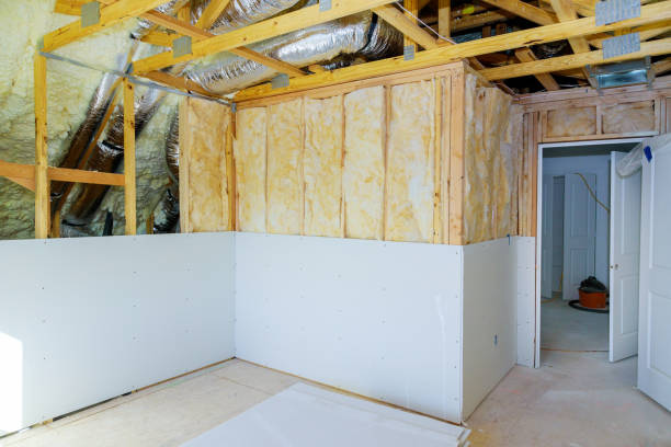 Best Residential Insulation in Hanapepe, HI
