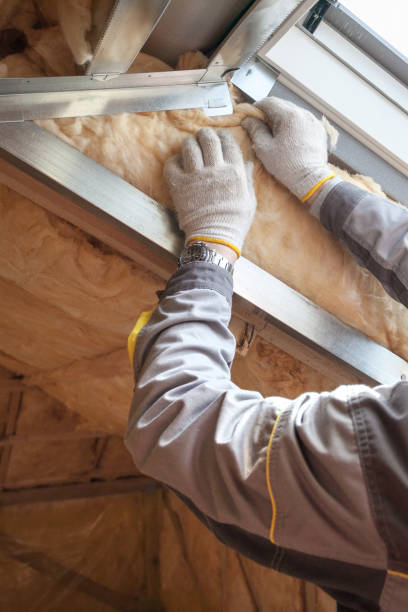 Types of Insulation We Offer in Hanapepe, HI