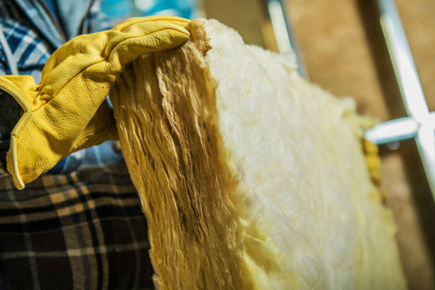 Best Specialized Insulation Services in Hanapepe, HI