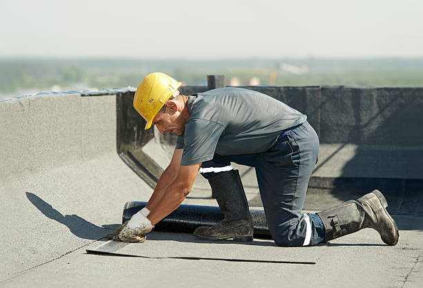 Best Eco-Friendly Insulation in Hanapepe, HI