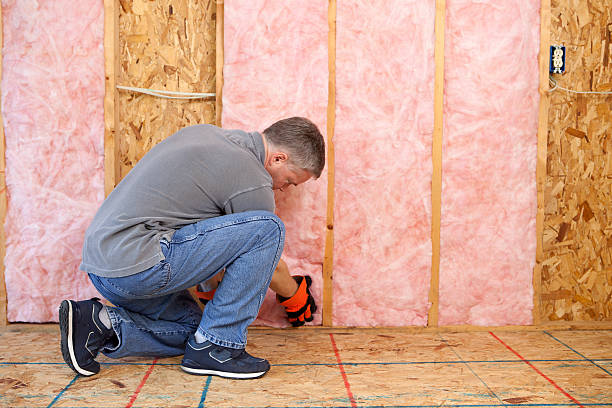 Best Fiberglass Insulation in Hanapepe, HI
