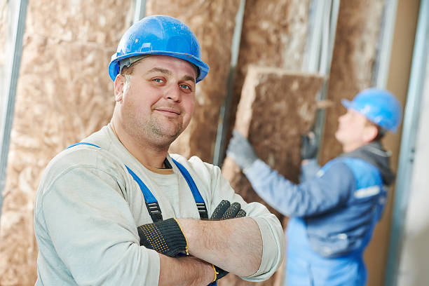 Best DIY Insulation Kits and Guidance in Hanapepe, HI