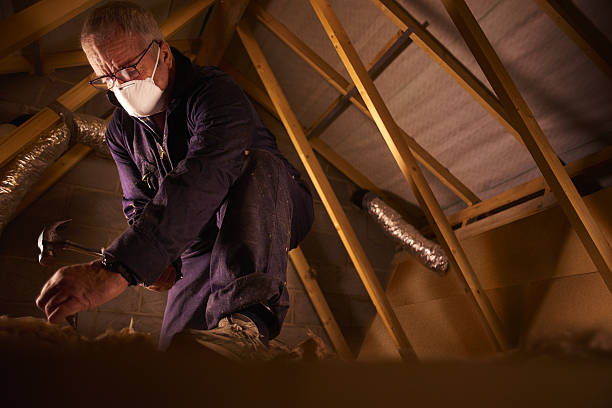 Best Insulation for Specific Applications in Hanapepe, HI